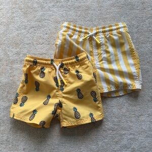 Boys Swim Trunks (2 pack)